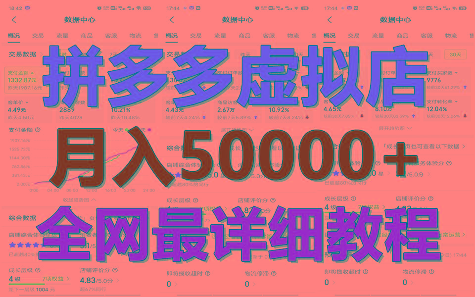 拼多多虚拟电商训练营月入50000+你也行，暴利稳定长久，副业首选-网创资源