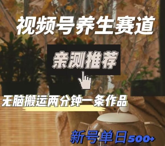 视频号养生赛道暴力掘金，无脑搬运，两分钟一条作品-新日单入500+-网创资源