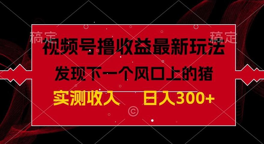 视频号分成计划最新玩法，单条作品几分钟制作完成,日入300+，过年前最后的冲刺-网创资源
