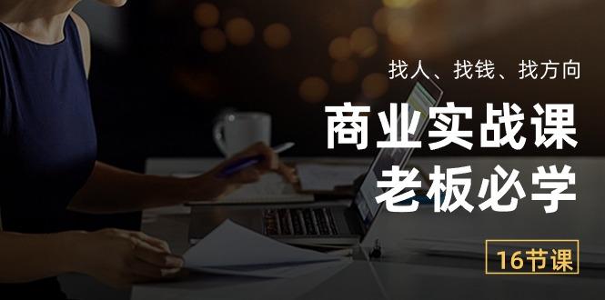 商业实战课【老板必学】：找人、找钱、找方向(16节课-网创资源