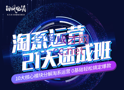 淘系运营21天速成班(更新24年6月)-网创资源