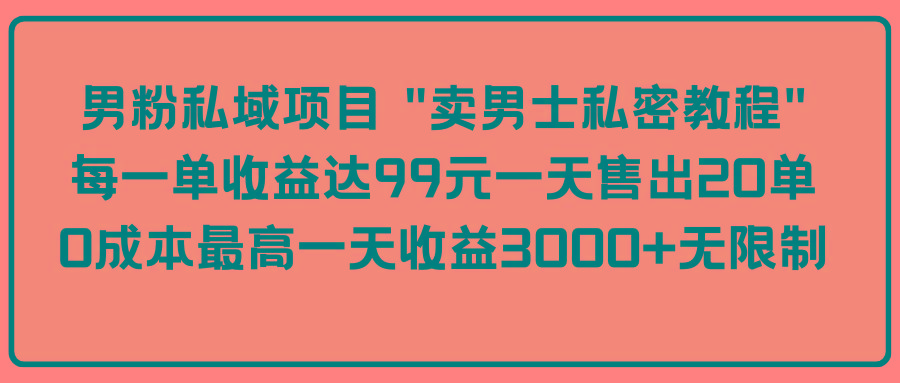 (9730期)男粉私域项目 “卖男士私密教程” 每一单收益达99元一天售出20单-网创资源