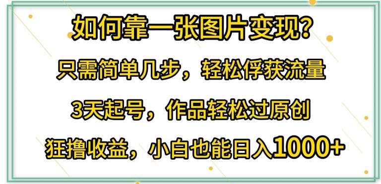 如何靠一张图片变现?只需简单几步，轻松俘获流量，3天起号，作品轻松过原创【揭秘】-网创资源