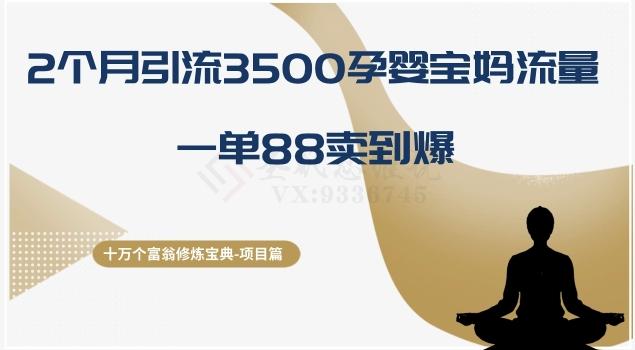 十万个富翁修炼宝典之13.2个月引流3500孕婴宝妈流量，一单88卖到爆-网创资源