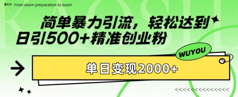 简单暴力引流，轻松达到日引500+精准创业粉，单日变现2k【揭秘】-网创资源