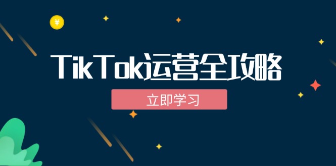 TikTok实战运营全攻略：从下载软件到变现，抖音海外版实操教程-网创资源