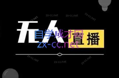 宝子哥·无人直播-非实时防风技术(更新8月)-网创资源