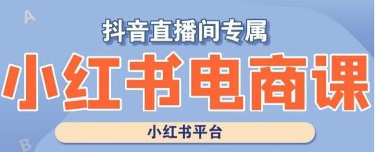 小红书电商高级运营课程，实操教学+案例分析-网创资源