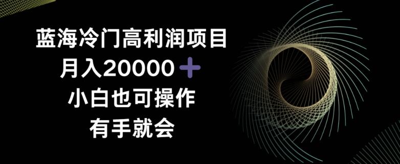 蓝海冷门高利润项目月入2000，小白也可操作有手就会-网创资源