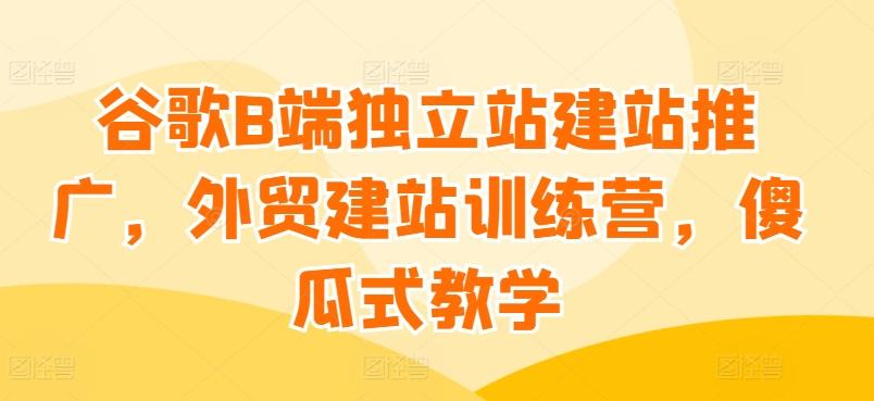 谷歌B端独立站建站推广，外贸建站训练营，傻瓜式教学-网创资源