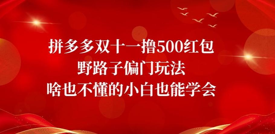 拼多多双十一撸500红包野路子偏门玩法，啥也不懂的小白也能学会【揭秘】-网创资源