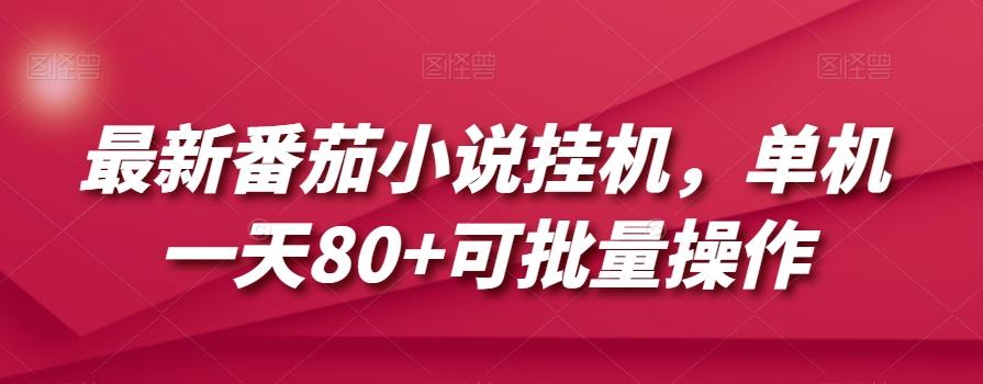 最新番茄小说挂机，单机一天80+可批量操作【揭秘】-网创资源