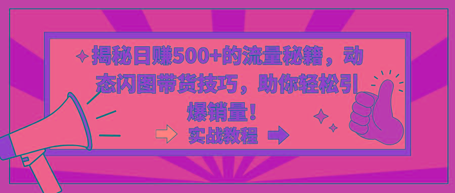 揭秘日赚500+的流量秘籍，动态闪图带货技巧，助你轻松引爆销量！-网创资源
